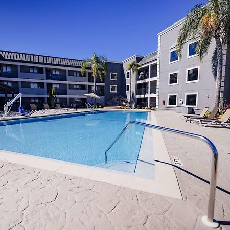 La Quinta Inn By Wyndham Tampa Near Busch Gardens Exterior foto